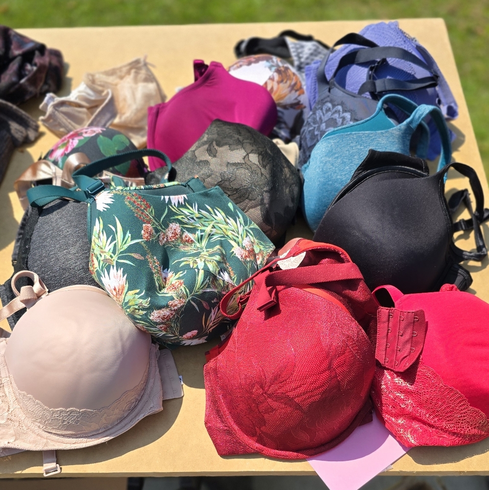 Lane Braynt / Torrid Bra Bundle - 15 Total